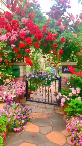 #foryou #scenery #garden #flowers 
