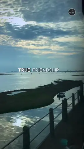 True Friendship… #quotes #inspirationalvideos #deepquotes #relatablequotes #perspective #truefriends #lifetipsforyou #inspirational #motivationspeech #nto_vibes 