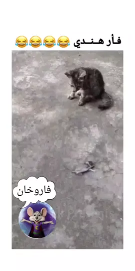 فار هندي فاروخان  #ضحك  #az21an #ترند #سناب #اكسبلور  #السعودية #explore #ترندات funny #fyp #viral  #ضحك  #az21an #ترند #سناب #اكسبلور #السعودية #ترند_السعودية #ترندات #ضحكة #فله ‎#ضحك  #az21an #ترند #سناب #اكسبلور ‎ #حكمة #حكم #تحفيز #خواطر #تطوير_الذات #حكمة عميقة   #explore   #اكسبلورر #اكسبلور_explore #اكسبلور_فولو #اكسبلور #مشاهير #مشاهير_تيك_توك  #مشاهير_سناب   #مشاهير_انستقرام #مشاهير_العرب #السعودية #حايل #حالات_واتساب #حائل #الدمام