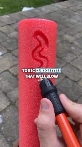 Did you know about these ? #facts #randomfacts #satisfying #curiosity #factsyoudidntknow 