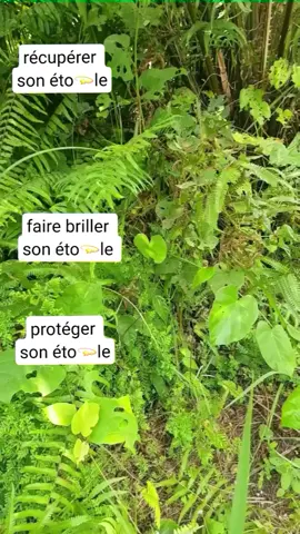 Étoile voler,asombri,#astuce #tiktokpourtous
