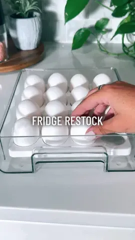 Restocking the fridge 🤩 #restock #refill #asmr #organized #organizedfridge #fridgegoals #organizedhome #kitchenorganization #groceryhaul #restockingasmr 