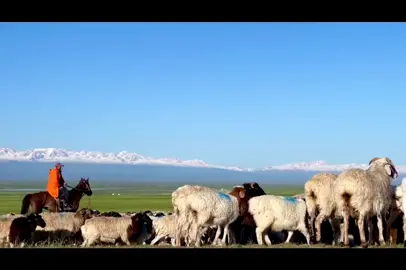 Xinjiang Scenery/Uyghur Music/003