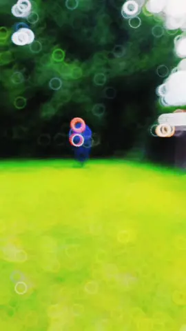 #nanuofficial1 #WheneverWherever #trending 