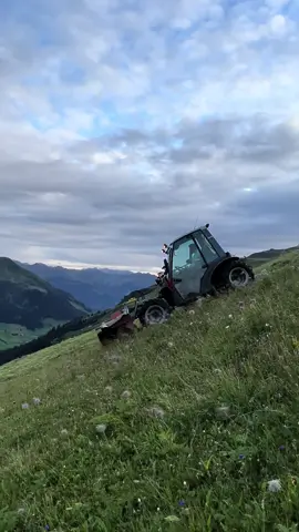 Call me maybe. Farm from @Kon Rad #heuram #farmgirl #brielmaier #silopflug #farmerlife #reform #brielmaierpower #brielmaier #swissfarmer #swissfarmer🇨🇭🇨🇭 #swiss #aebi #swissmeli 
