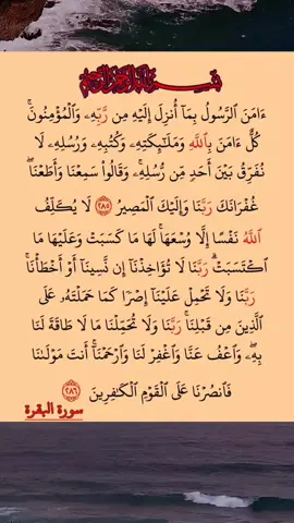 القرآن الكريم آمن الرسول سورة البقرة صلاح بوخاطر #القرٱن_الكريم #راحة_نفسية #إطمئن 