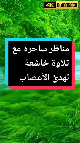 مناظر طبيعيه خلابه 4k مع تلاوة خاشعة بصوت عذب جذاب #مناظر_طبيعيه #الطبيعه_اجمل_شي_للراحه_النفسيه #تلاوة_خاشعة #القرآن_الكريم #القران_الكريم #القران_الكريم_راحه_نفسية😍🕋 #راحة_نفسية #راحة_نفسيه #صور #علم_بالقلم_zms #عبدالرحمن_مسعد #quran_alkarim #capcut #اكسبلورر #treanding #quran #nga #ترند #august #natediaz #jakapaul #pourtoi #pourtoipage #fypシ #fypシ゚viral #fypdongggggggg #fyppppppppppppppppppppppp #4k  @أبو منير 