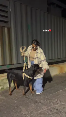 My baby ❤️ #teachersoftiktok #fypシ #dogsofttiktok #kallitgoose 