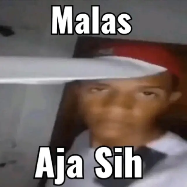 PURA PURA GA TAU🤣 #meme #stikerabsurd #absurd #absurdhumor #fyp #jaskidding 