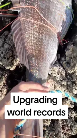 This video will blow your mind.  stat turned for the youtube video