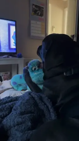 This dog’s favorite toy came to life ❤️