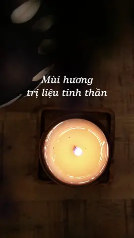 Hương thơm từ nến thơm thiên nhiên đánh thức khả năng tự chữa lành trong bạn #lerustique #lerustiquecandles #nenthom #nenthomhandmade #nenthomchualanh #chualanh #aromatherapy #LearnOnTikTok #podcast #podcastchualanh