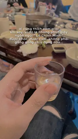 Phải làm sao đây Hôm nay em lại say nữa rồi. Say để quên đi chuyện buồn chứ không phải vì ai😔😔😔😔❤️❤️#xuhuongtiktok #câunoihaymoingay #moisungudotdeuphaitragia 