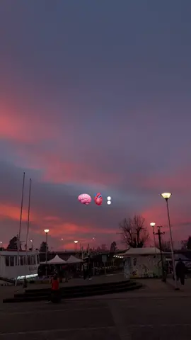 art #chile #renepuente #ñau