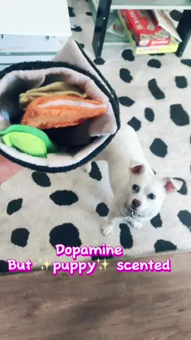 Store bought dopamine is fine but so is puppy dopamine🐶💞✨ #foryoupage #fyp #cutepuppy #dopamine #asmr #cuteanimals #diyflips 