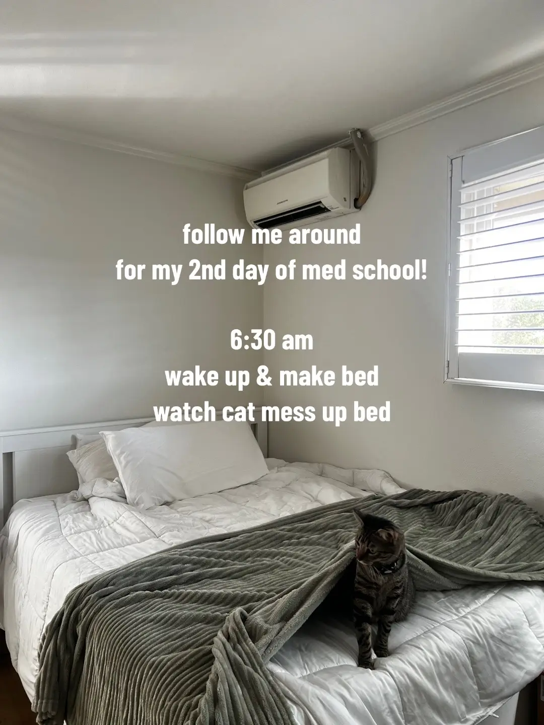 inspired by the lovely @Dr. Sarah 🦴  🏷️ #premed #premedtips #premedlife #premedstudent #premedmotivation #prehealthstudent #medstudent #medschool #medschoolbound #medschoollife #medicalstudent #medschoolmotivation #medschoolapps #incomingmedstudent #medicalschool #dailyvlog #videodiary #dayinthelife #anki 