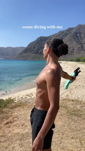 + for more ocean adventures 🐬 