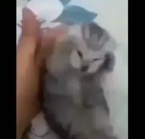 đâu đầu quá đi im lặng đi về nhà mà cãi nhau 