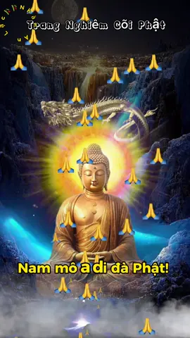 Nam mô a di đà Phật🙏 Nhạc Phật Tịnh Tâm{3} Trang Nghiêm Cõi Phật #nammoadidaphat🙏🙏🙏 #nammoadidaphat🙏🙏🙏🌺🌹🌺🌹🌺🌹🌺🌹🌺🌹🌺🌺🌹🌺🌹 #nhacphatgiao #nhacphattinhtam #nhacphattinhtamanlac #CapCut 