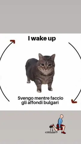 La storia si ripete #palestra #gymita #muscoli #fitnessitalia #gym 