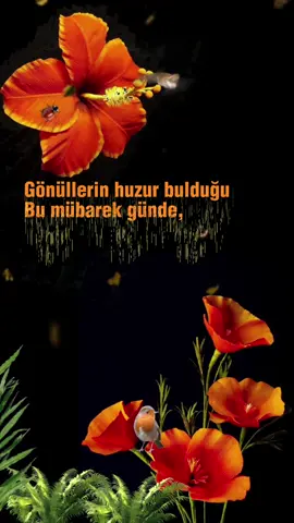 #hayırlıakşamlar  #hayırlıcumalar🌹🌺🌺🌷💖 