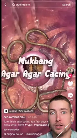 Imagine someone brings this to the potluck @ceo of agar agar kematian  