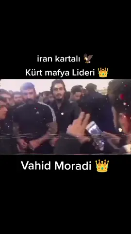 i#iran #mafyası #vahid #moradi #✌️✌️ #keşfetbeniöneçıkar 