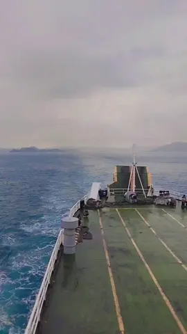 Jare Kowe Wes Ngukir Jenengku, Ningopo Saikine Cidro.... #farelprayoga #farelprayogaofficial #cidro3 #cidro3viral #liriklagujawa #liriklagu #liriklagujawacidro ##liriklagujawasad #fypシ #fypgakni #viral #jawapride 