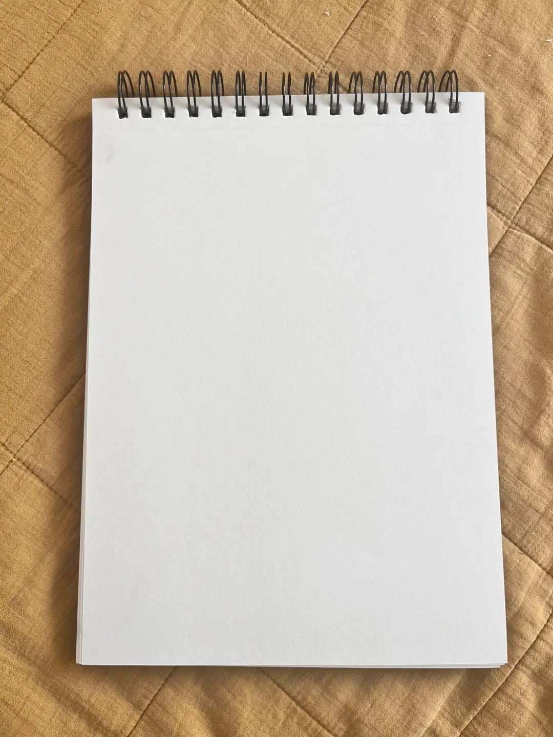 Aki on top #fypシ #akihayakawa #chainsawman #foryou #viral #anime #mangaart #draw