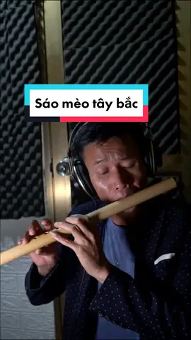 live sáo mèo tây bắc #trungsao #saotruc #nhachaymoingay #taybac 