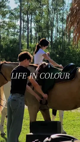 life in colour 