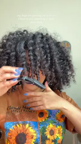 It did not survive the heat at all 🫣 #thickhairstyles #summerhair #hairinspo #hairinspo #naturalhair #4ahair #blackgirlhairstyle #permrodset 