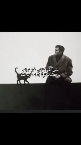 يلا ميخالف #foryou #foryoupage #fyp #viral #explore #راقي 