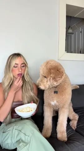 Don’t expect the sharing to be mutual #dogs #dogtok #foryou #doglover #bloompartner @Bloom Nutrition 