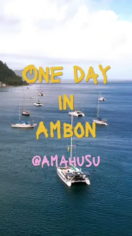 Sail Time 🌊🌏⚓️🚤 #sail #ambon #maluku #sea #boat #pinishi #fyp #Home #goodtimes #vibes #fypシ #oneday #life #time #video #short #free #qualitycontent #content #only 