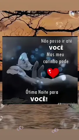 #boanoite✨️ #bomdescanso😴💤  #