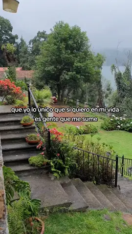 Gente que sume ❤️‍🩹  #parati #goodvibes #quesumennoqueresten🤙🤙 