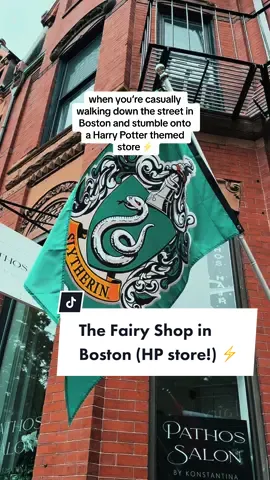 I asked the shopkeeper if I could take pictures and he said jokingly back “Can you make me internet famous?” …. i said sir hang on It’s called the Fairy Shop, go check them out! #dracotok #slytherin #harrypottertiktok #harrypotter #hogwarts #dracomalfoy #boston #bostontiktok #slytherinpride🐍 