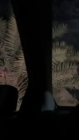 ماجاب لي علم ماسولف لكم عني؟ #محمد_السكران #محمد_السكران_إبيات_شعر🤍 #fur #اكسبلورexplo #لشعار #foryou #شعروقصايد #شعر #هواجيس #متابعه 