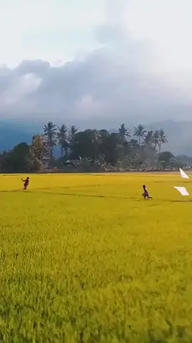 នឹកកាលពីនៅក្មេងៗនាំគ្នារត់លេងតាមវាលស្រែយ៉ាងសប្បាយ🥰