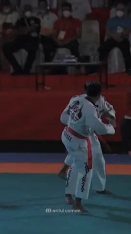 next versi apa lagi nih bro ? #beladiri #tarungderajat #beladiri_indonesia 