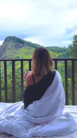 Ella Flower Garden Resort 💚💛❤️                  #ellaflowergardenresort #ellaflowergarden #ellasrilanka #ella #srilanka #beautifuldestinations #hotel #uvas 