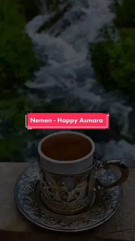 Nemen poooll yo guys ambyare lagu iki? (Nemen - Happy Asmara) #foryou #nemen_happyasmara #liriklagujowoviral #jowoprideeee #fyp #fypシ゚viral #xyzbca 