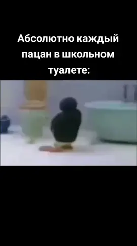 #fyp #recommendations #школьныйтуалет #пингвин #ссыт 