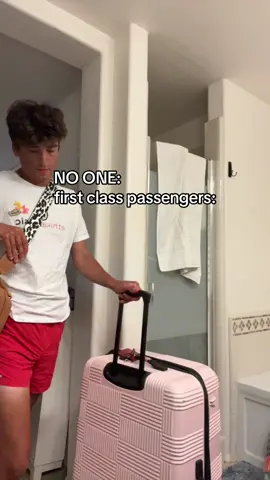 Pov: ur the flight attendant for spirit airlines and first class passenger Sal Styles has a complaint #fyp #foryou #4u 
