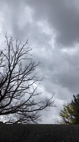 passing clouds… #videography #peaceful #fyp #cinematography #visualdiary #august #nature #cloudy #greyskies #coldweather #fall #autumn #cold #xyzbca 