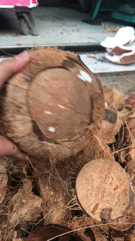 Kupas kelapa tua ala mamaNur #kelapatua #kupaskelapa #kameraiphone7+ @Nurr Dyana 