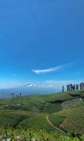 📍Temanggung #temanggung #gunungindonesia #sindoro #sumbing #alam #viewalam #viewalam #viewalamindonesia #tembakau #alamindonesia #fyp #mountain 