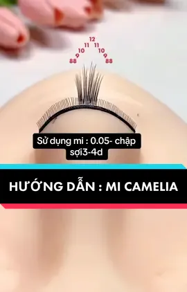 Chia sẻ công thức mi camelia #LearnOnTikTok #xuhuongtiktok2023☘️🍀♥️ #noimidephaiphong #eyelashes 