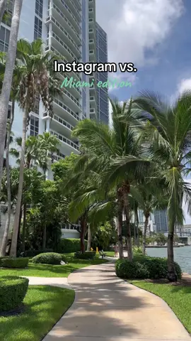 Miami roosters are on another level #Mia#Miamia#miamibloggera#miamibloggersa#miamiinfluencera#miamiinfluencersa#miamicontentcreatorn#contentcreatori#brickellmiamii#brickellivingi#brickelllivingi#brickellcitycentrei#brickellkeyi#brickelllifea#miamifoodiesa#miamigirla#miamio#floridabloggero#floridabloggerso#floridainfluenceru#southfloridainfluencera#miamirestaurantsa#miamifooda#miamifoodiea#miamimusta#miamitodos#casafloridap#exploremiamiuthfloridablogger #miamireality #livinginmiamibelike #livinginmiamilakes #movingtomiamibeach #miamiroosters #miamiwildlife #miamithingstodothisweekend #miamithingstodowithkids #miamilivestyle 